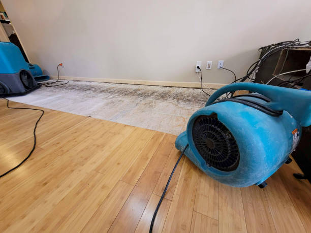 Professional Flood Damage Cleanup technician working in Holden, MO